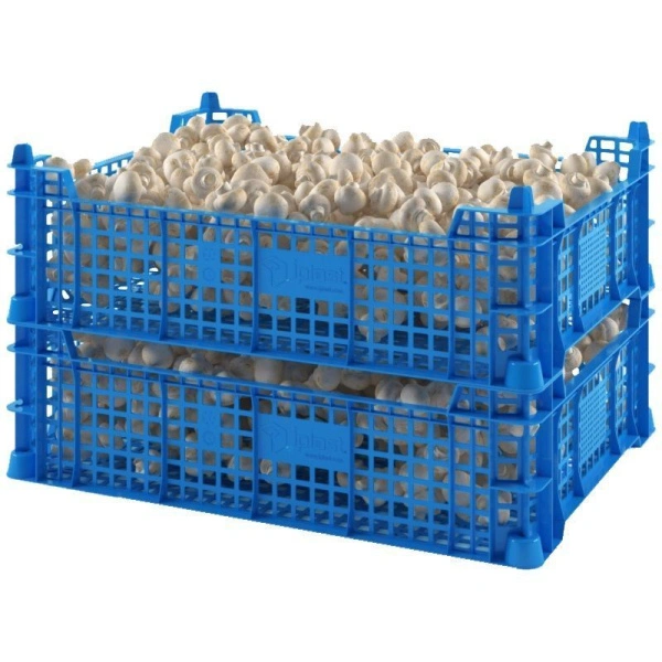 Ящик грибной 400х300х110 мм морозостойкий 